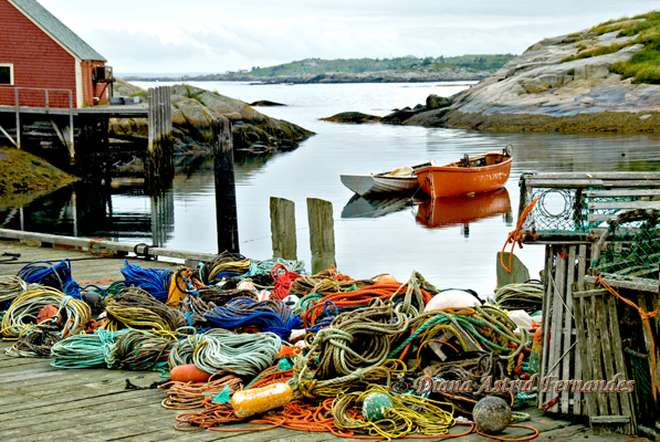 Lobster-fishing-Peggy's-Cove